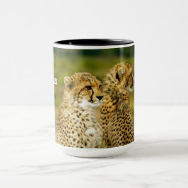 Caneca Wildlife Cheetah Photo
