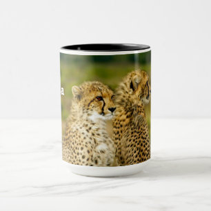 Caneca Wildlife Cheetah Photo