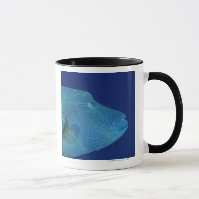 Caneca Wrasse 2 de Humphead (Direita)
