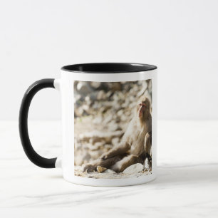 Caneca Yamanouchi, Chubu, Nagano, Japão 2