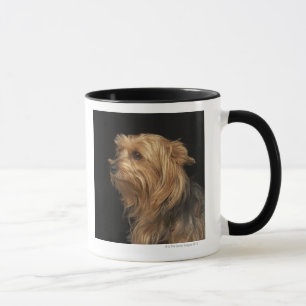 Caneca Yorkie preto e marrom deixou o perfil no preto