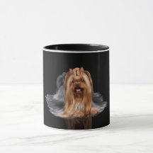 Yorkshire terrier no preto