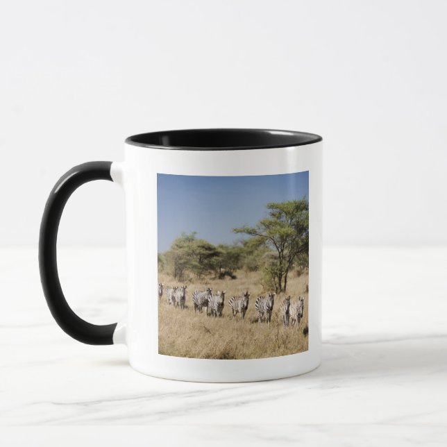 Caneca Zebra da migração, Tanzânia (Esquerda)