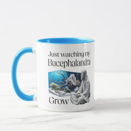 Caneca Zen and Bucephalandra – The Art of Aquascaping