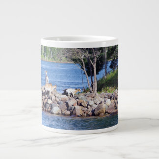 canecas com cabras nas rochas