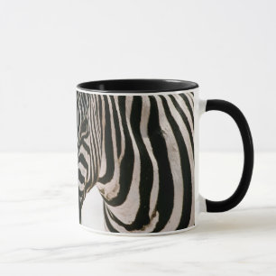Canecas da zebra