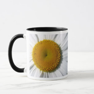 CANECAS DE CAFÉ DA MARGARIDA - ARTIGOS DA COZINHA