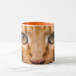 Canecas de gato estrelado