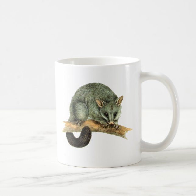 Canecas - gambá cooroy (Direita)