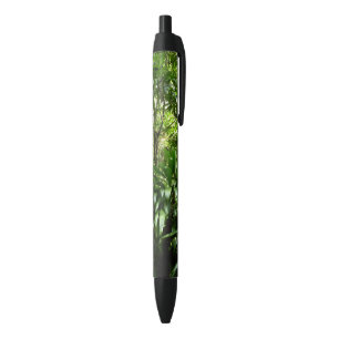 Caneta Preta Floresta Dominicana I Natureza Verde Tropical