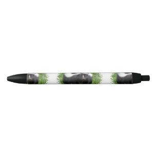 Caneta Preta Jaritataca