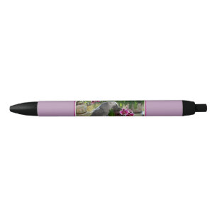 Caneta Preta Papagaio do cinza africano com orquídeas