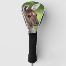 Canguru Pequenino Fofo