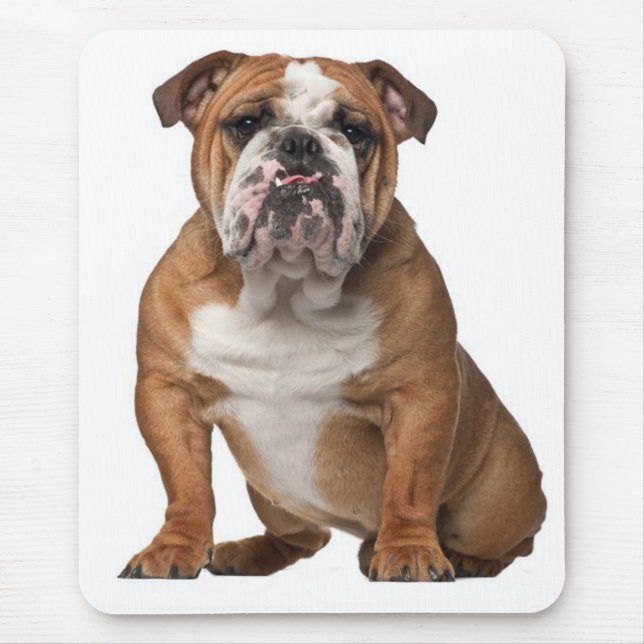 Canine Mousepad Inglês Bulldog (Frente)