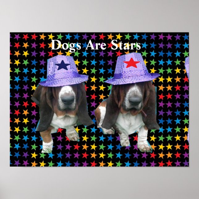 Caninos poster são estrelas (Frente)
