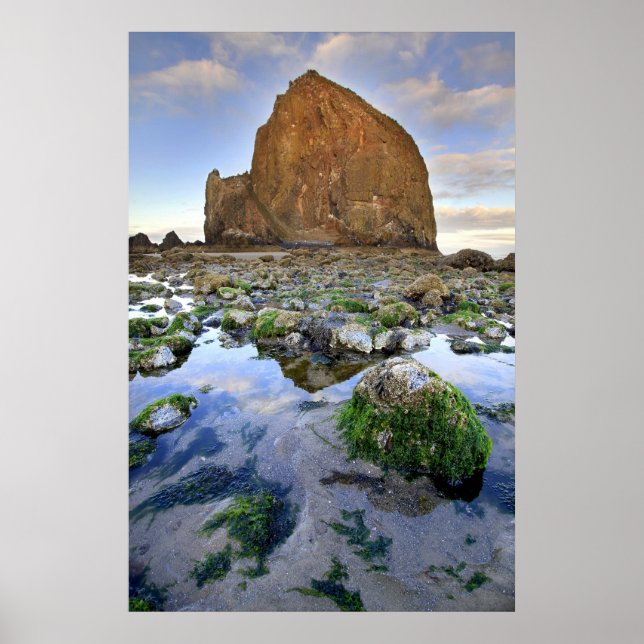 Cannon Beach Haystack Rock Low Tide Oregon Poster (Frente)