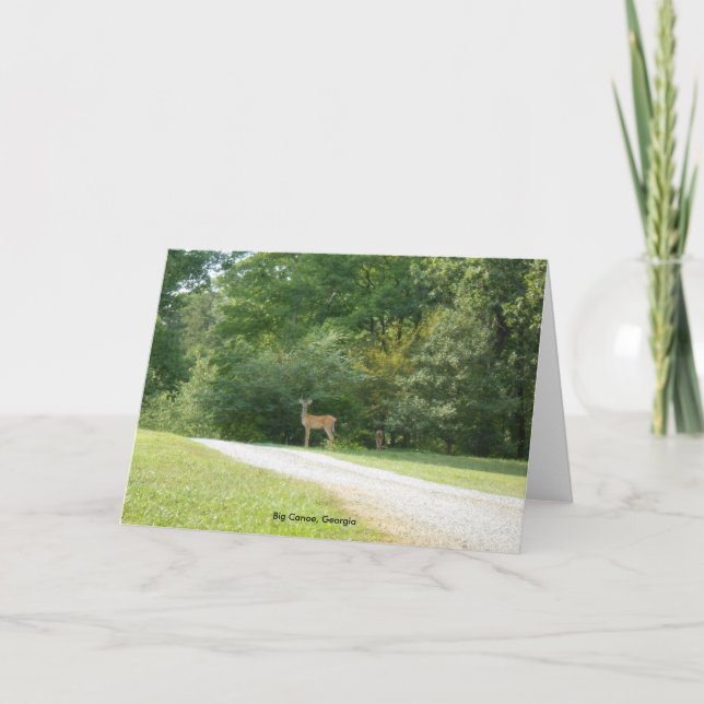 Canoa grande, cartão de nota de Geórgia (Frente)