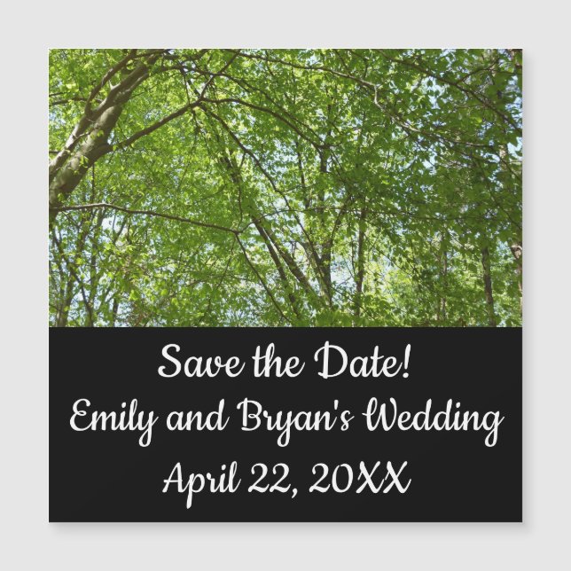 Canopia de Primavera deixa cena ecológica (Frente)