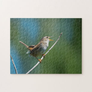 Cantando Marsh Wren quebra-cabeça