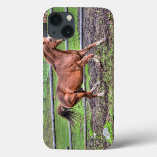 Cantering Chestnut Stallion Equina amante de caval