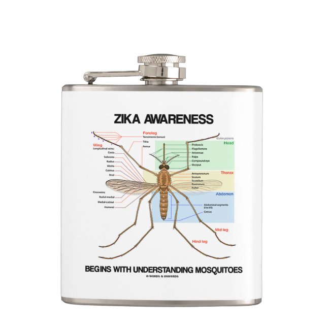 Cantil A consciência de Zika começa a compreender (Frente)