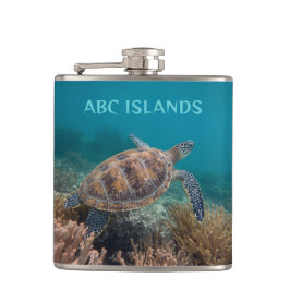Cantil Abc island turtle