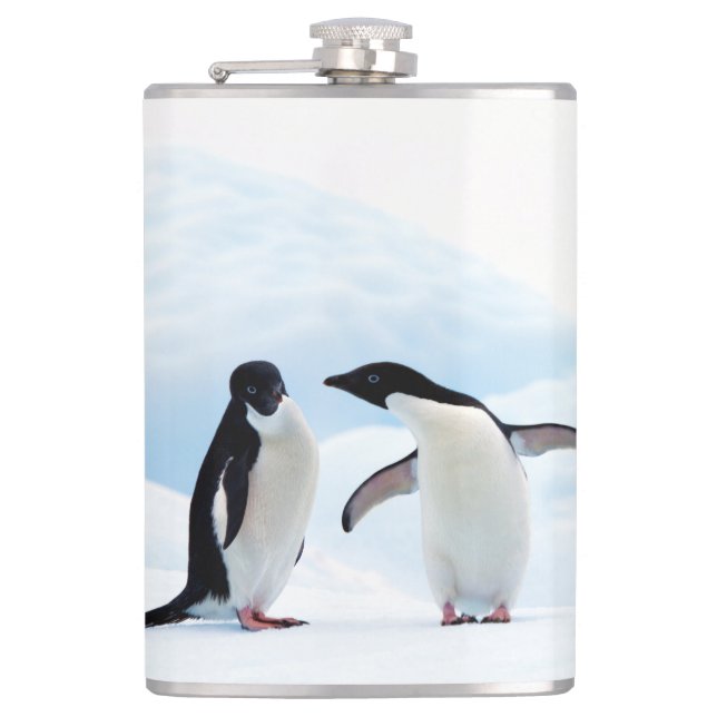 Cantil Adelie Penguins (Frente)