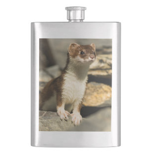 Cantil Alerta Weasel