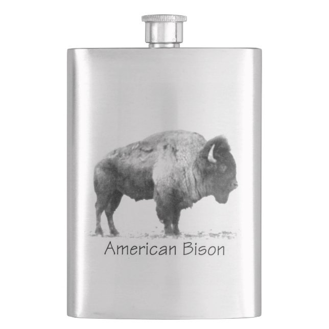 Cantil American Bison (Frente)