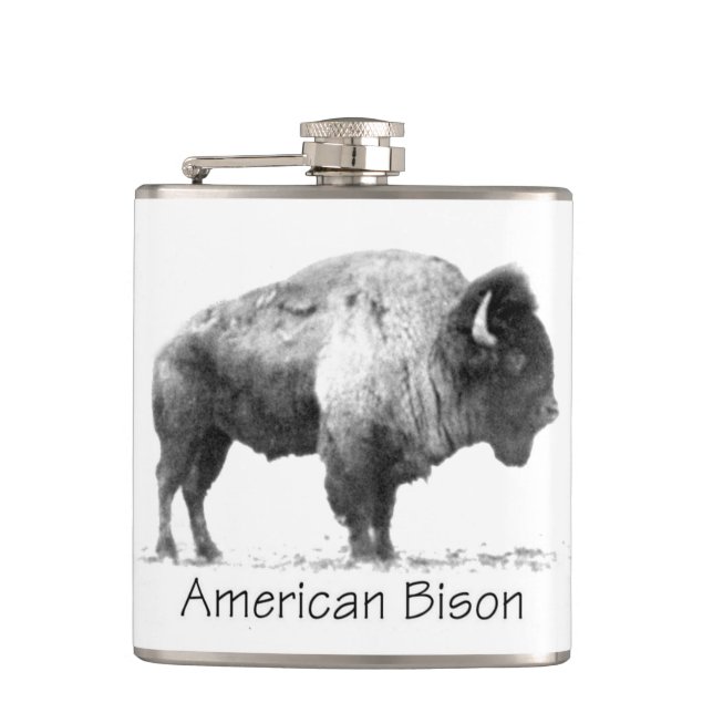 Cantil American Bison (Frente)