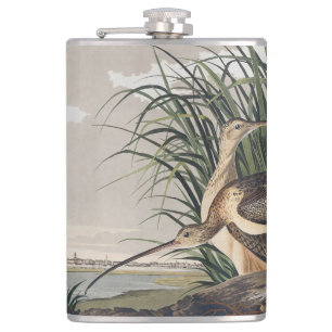 Cantil Arte de Ave Vintage Audubon Maçarico-de-bico-curvo
