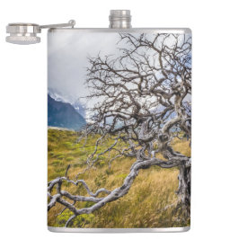 Cantil Árvore queimada, Torres del Paine, Chile