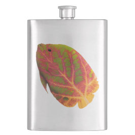 Cantil Aspen Peixe Tropical 1