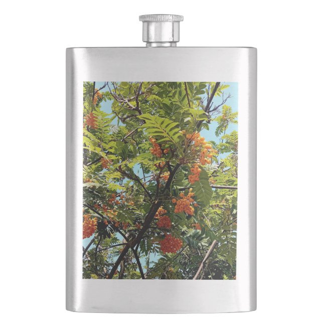 Cantil Bagas de laranja (Frente)