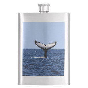 Cantil Baleia jubarte no oceano