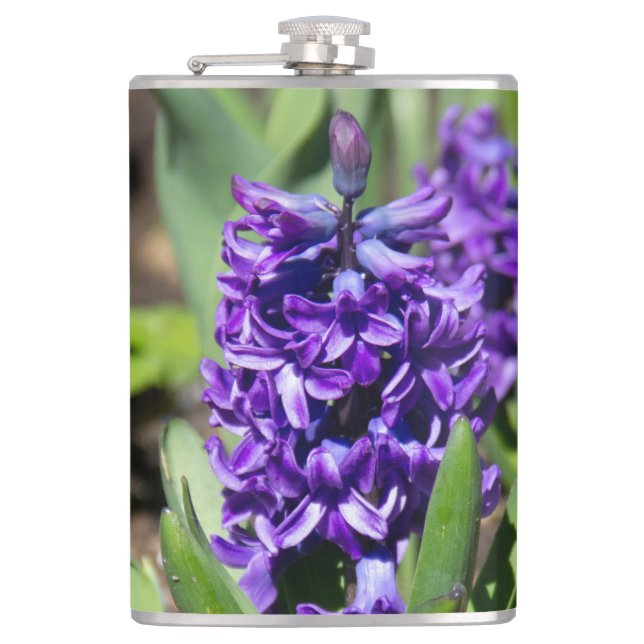 Cantil Blue Geocinth em primavera (Frente)