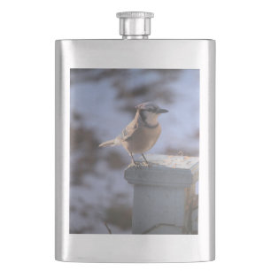 Cantil Blue Jay