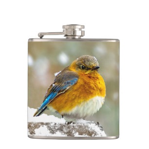 Cantil Bluebird oriental na neve - Foto original