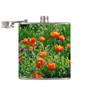 Cantil Bonito espumas de laranja