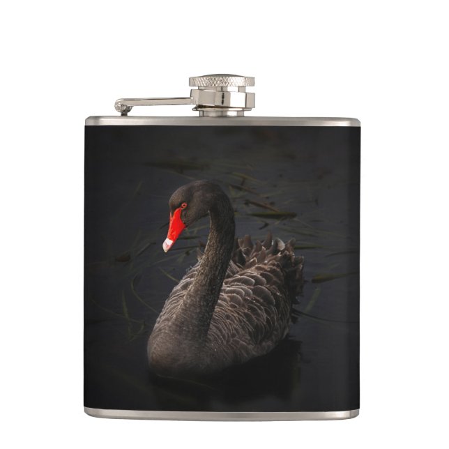 Cantil Bonito Swan Negro com Bright Beak Vermelho (Frente)