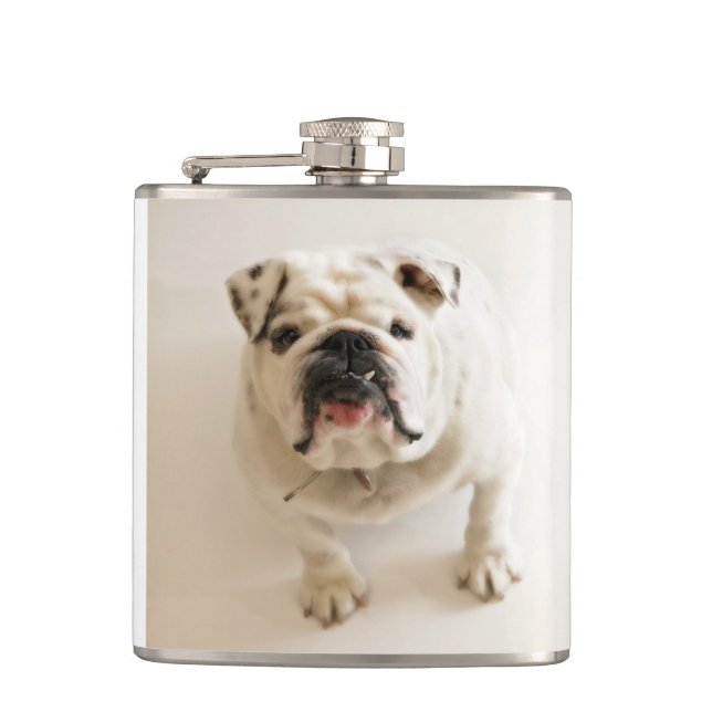 Cantil branco de buldogue (Frente)