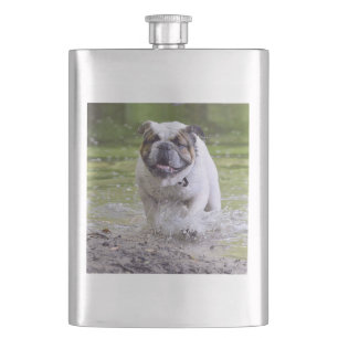 Cantil buldogue na água
