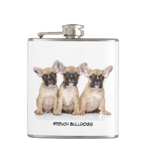 Cantil Buldogues franceses bonitos