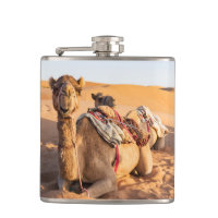 Camelo no deserto de Oman