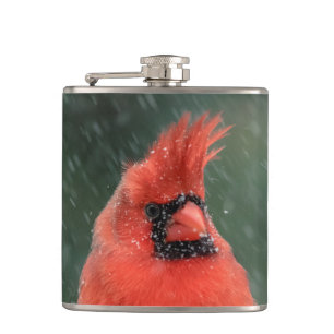 Cantil Cardeal num pinheiro durante uma tempestade de nev