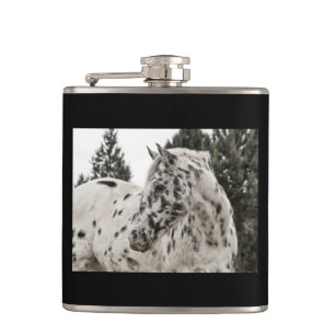 Cantil Cavalo preto e branco do Appaloosa