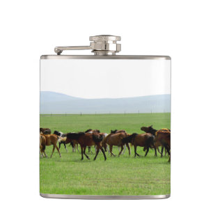 Cantil Cavalos no Pasto - Fotografia Paisagística