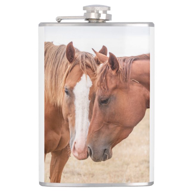 Cantil Cavalos que se infundem numa pastagem (Frente)