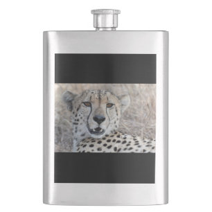 Cantil Cheetah Portrait