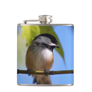 Cantil Chickadee bonito em uma fotografia do ramo